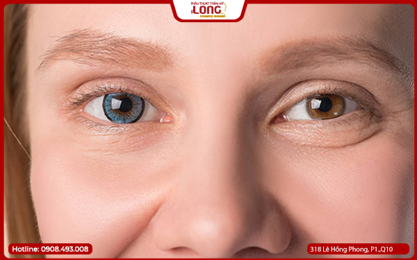 cat-mi-cho-nguoi-trung-nien